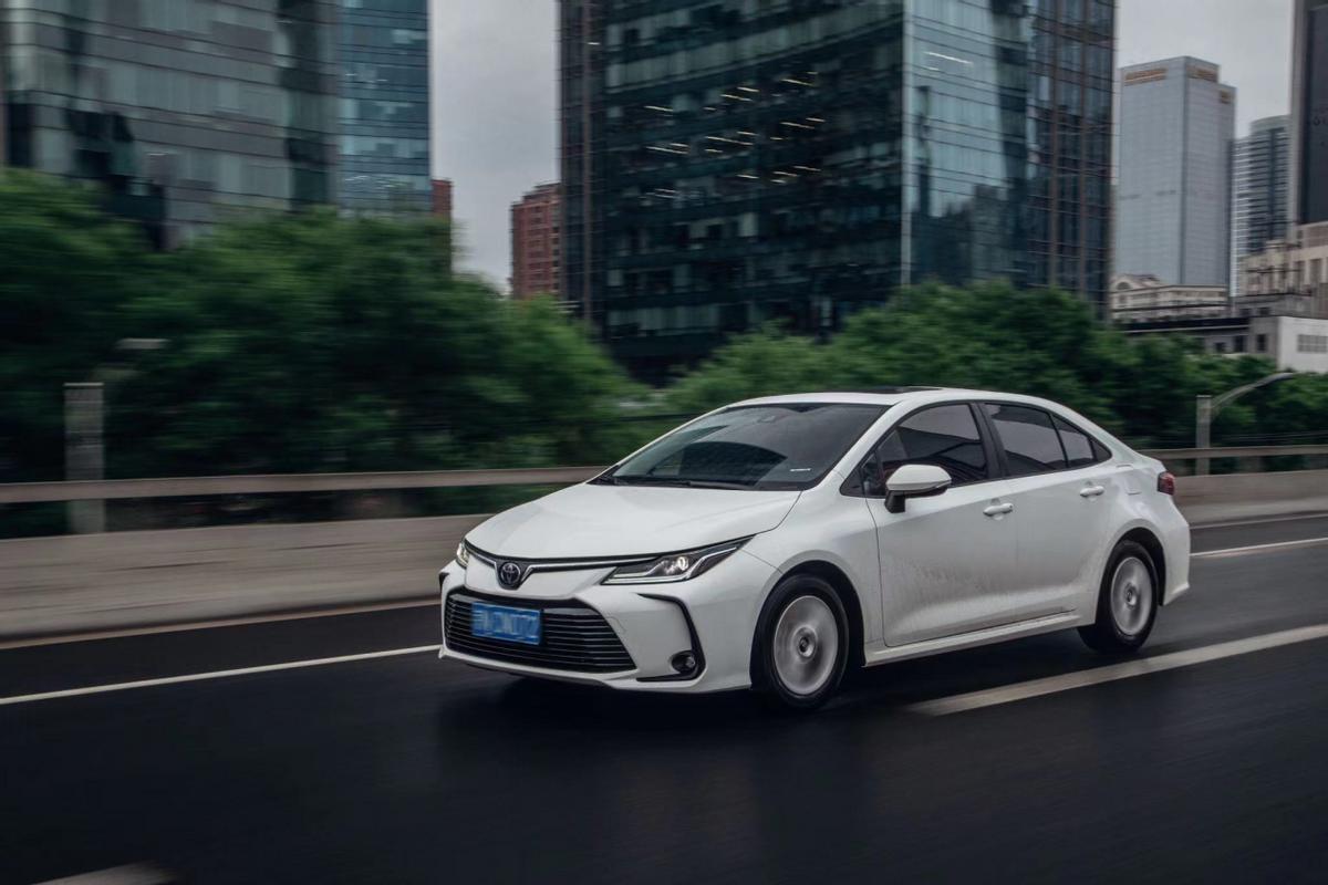 往平淡的生活里加点糖,往平淡生活里加点糖