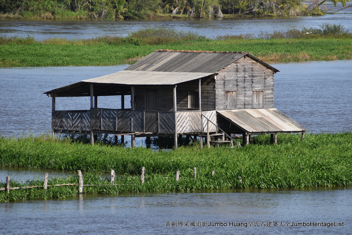 第5047回：消失的亚马逊文明，流失的林下聚居地