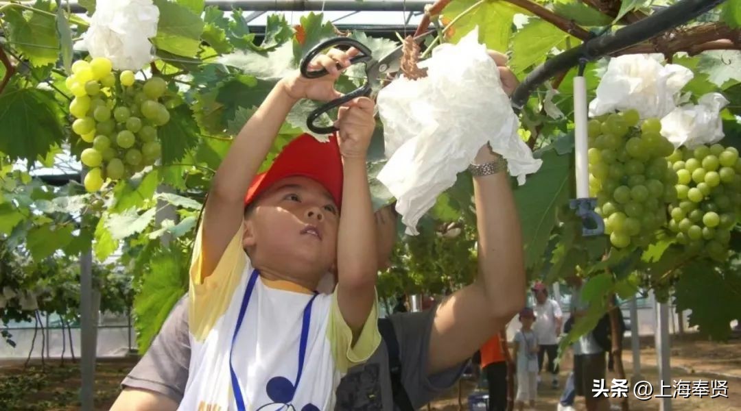 休憩一夏，趣味海湾