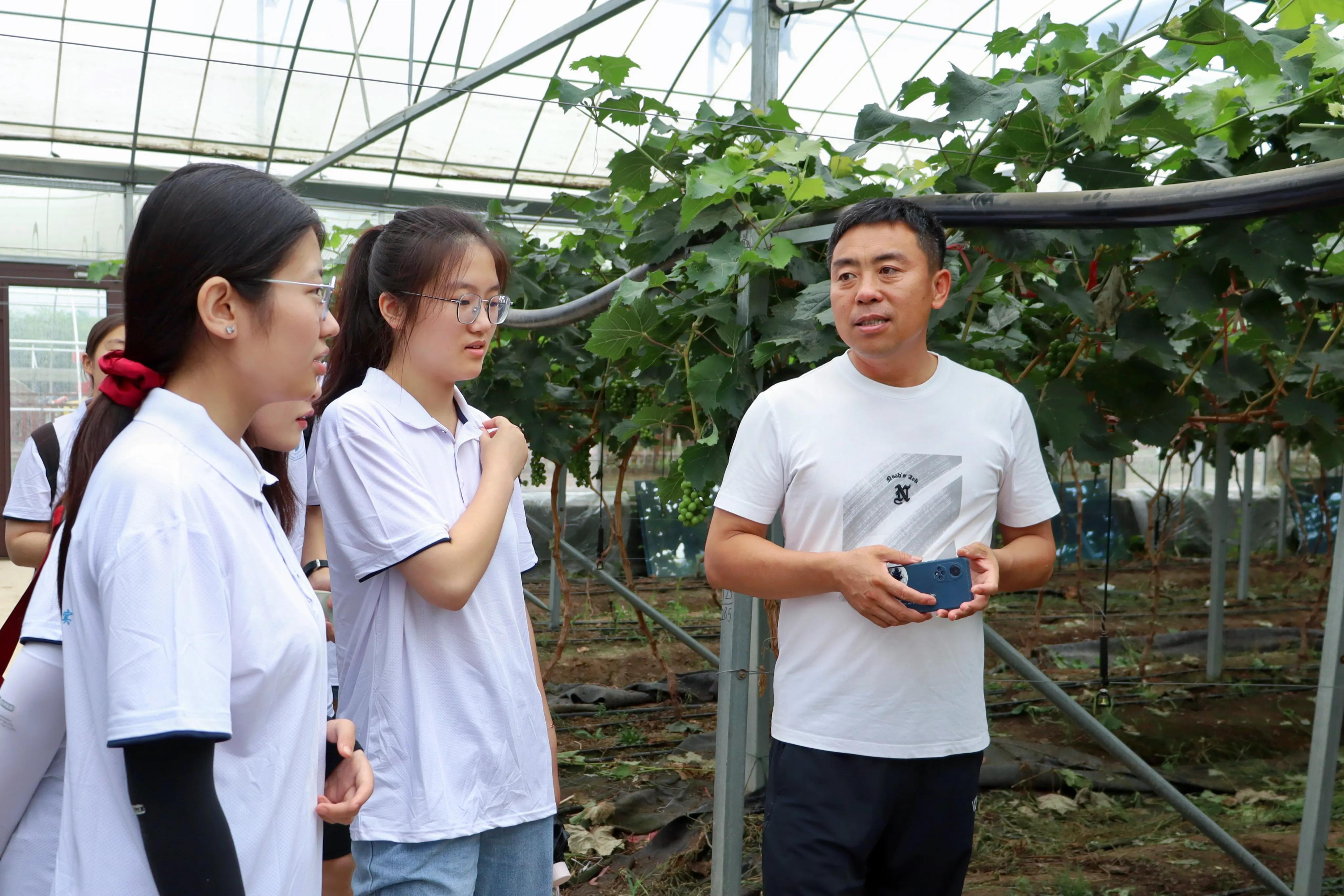 科技助农的可行性,科技智能助农方案是什么