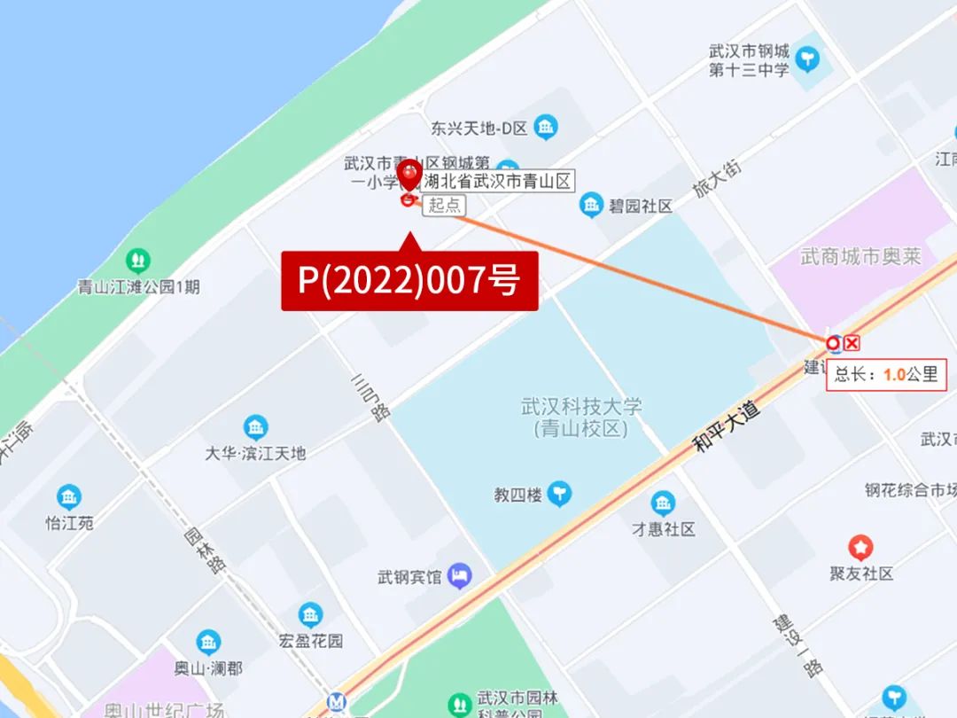 黯然退场,黯然退场时评