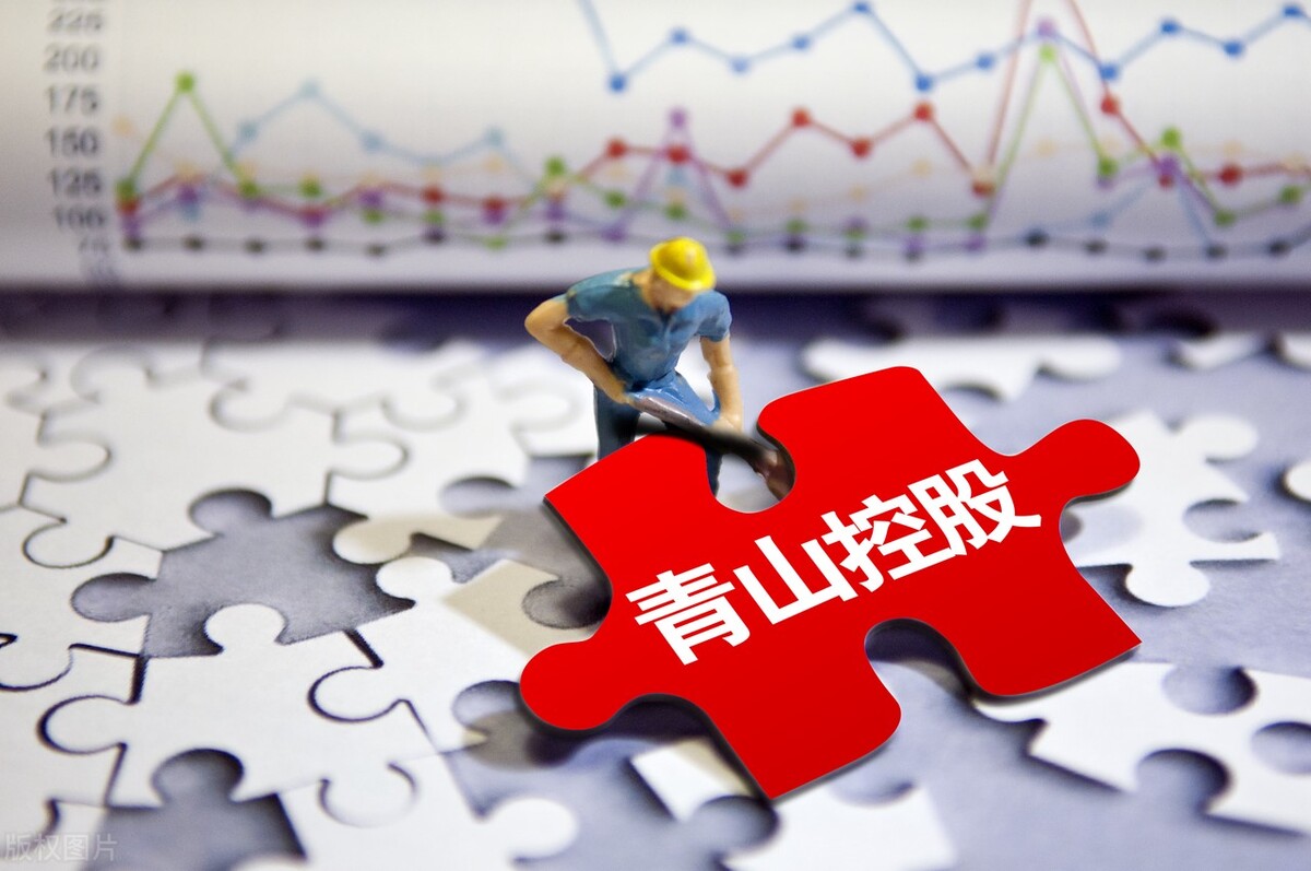 青山控股怎么拿出来的镍,青山控股的镍是什么品种