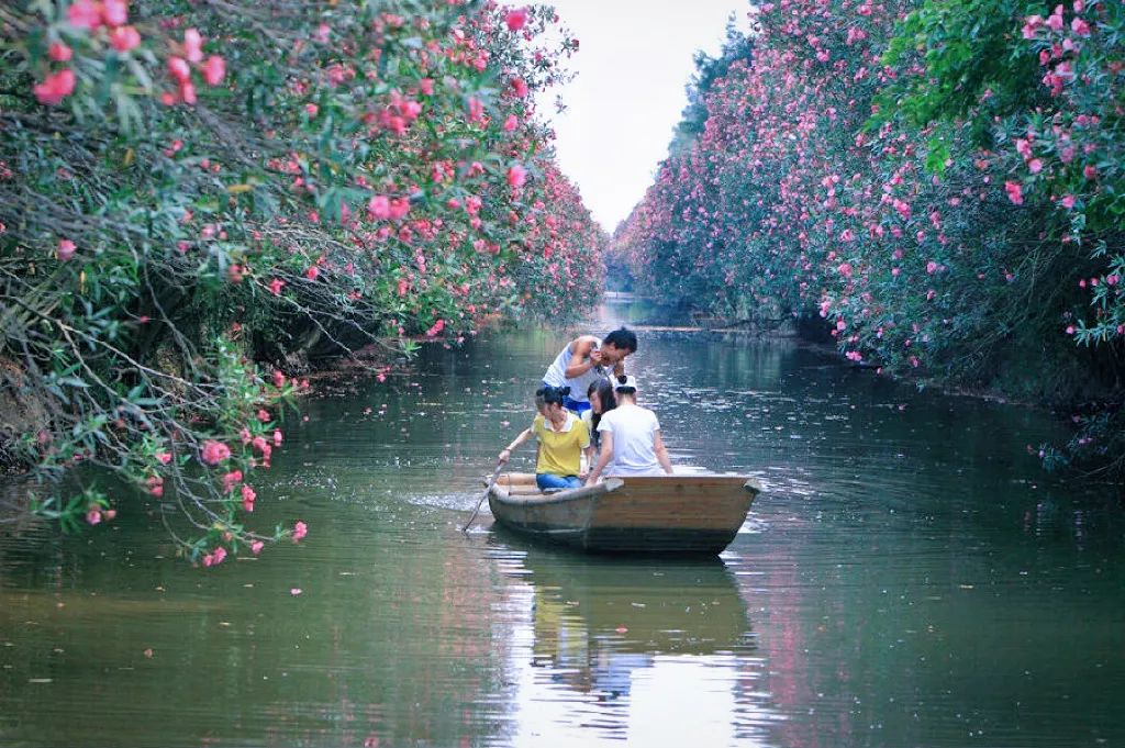舟山最值得去绝美海岛推荐,舟山值得去的海岛