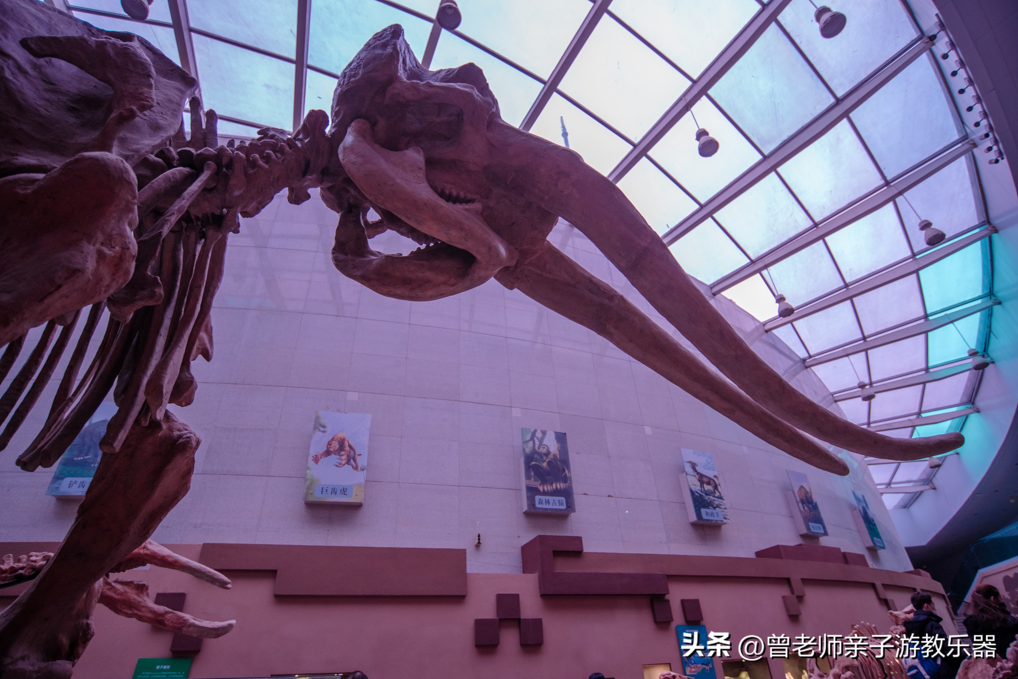 2023西安亲子游景区大全，30多个遛娃宝地，很多都免费