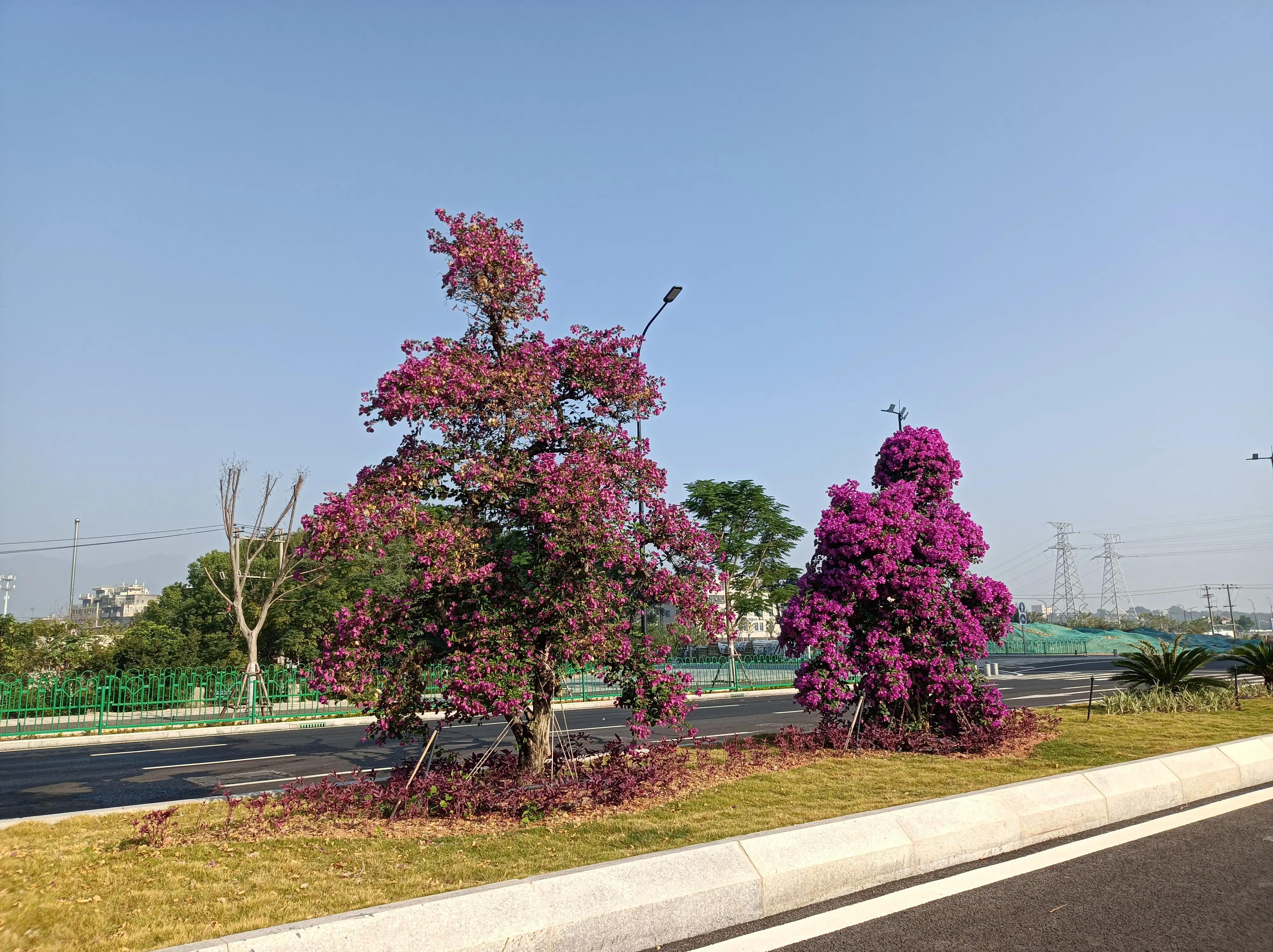 大叔最后的任性《世界杯少年心》