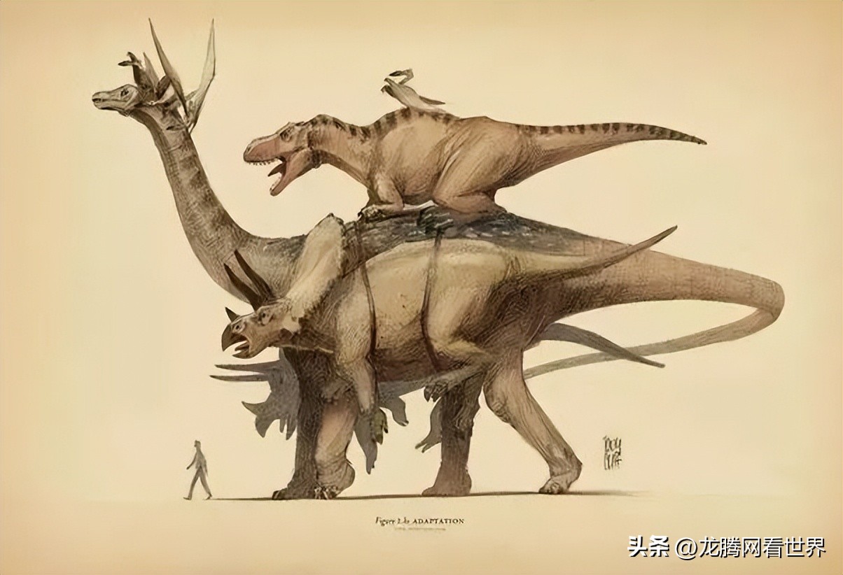 【龙腾网】QA问答：为什么许多印度人为喜欢英语多与母语而自豪？