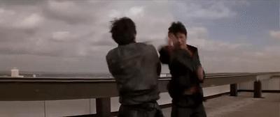 动作打斗电影十大巅峰之作,高分打斗电影国内排行榜前十