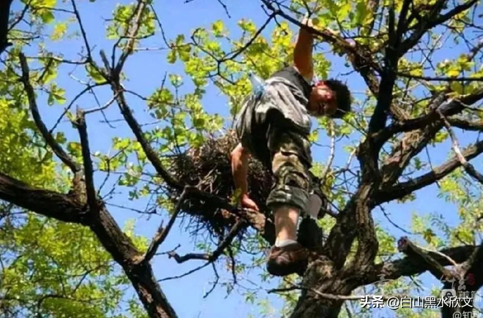 农村小孩的悲惨事,农村小孩的悲惨生活