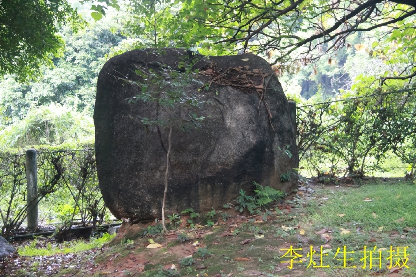 杨四将军庙简介,杨四将军庙在哪个位置