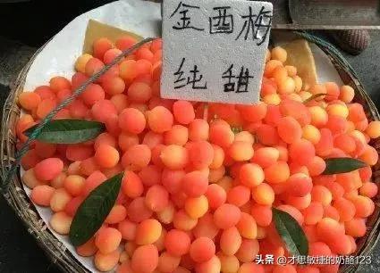 成都旅游团骗局全过程,成都旅游怎么防止被骗