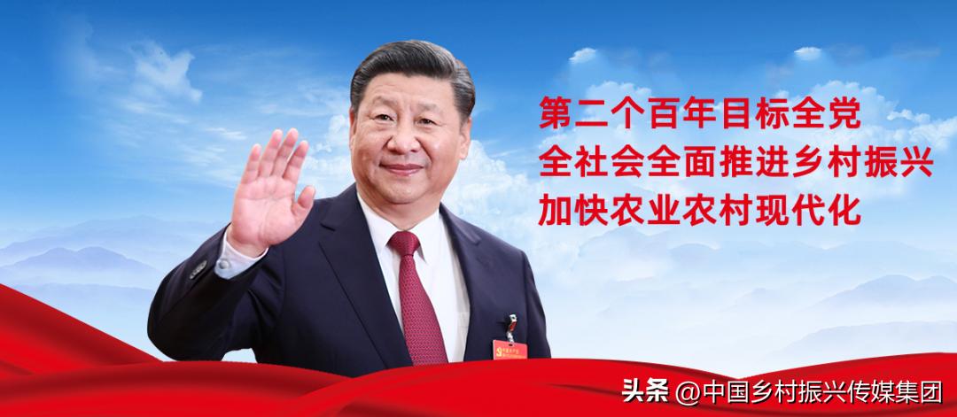 乡村振兴扶持项目在哪里申报,2023年乡村振兴项目补贴申报指南