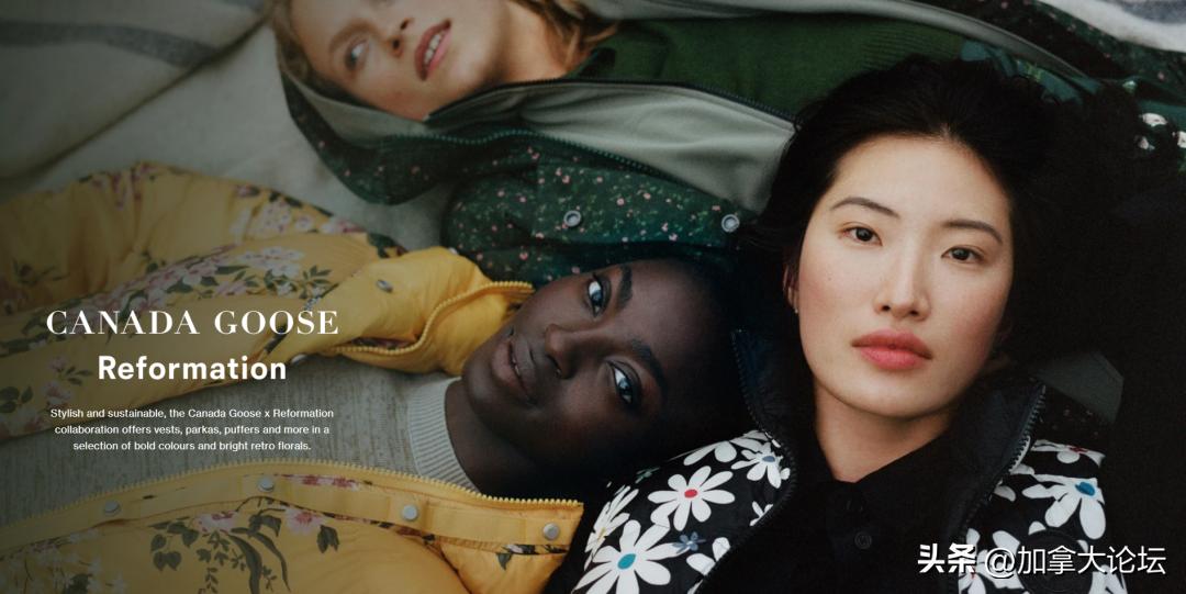 canadagoose羊毛帽,canadagoose限定款