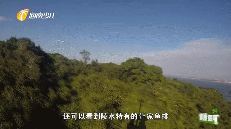 健康海南｜医疗护理师话说快乐健康去旅行！