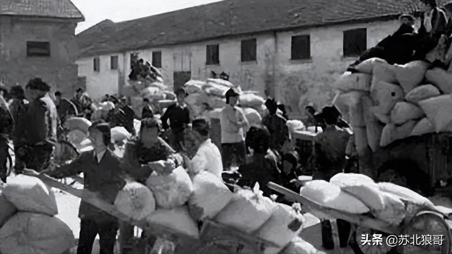 欲望——一个农村女人的故事（14）