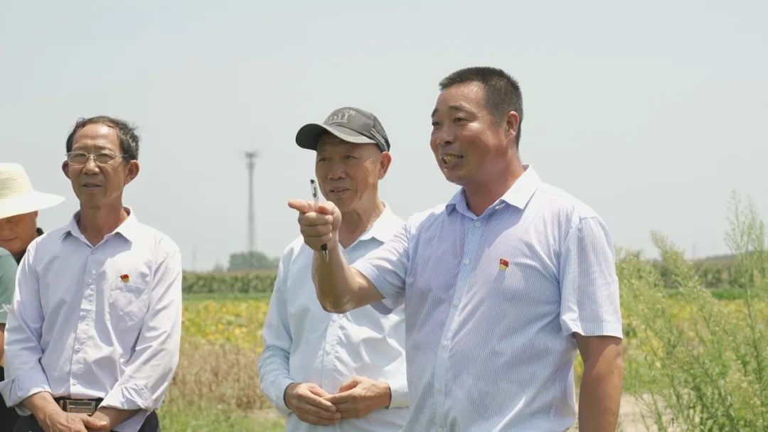 一只薯种出万元田！“*党**建+特色农业”让资源贫乏村“点”亮“薯”光大道