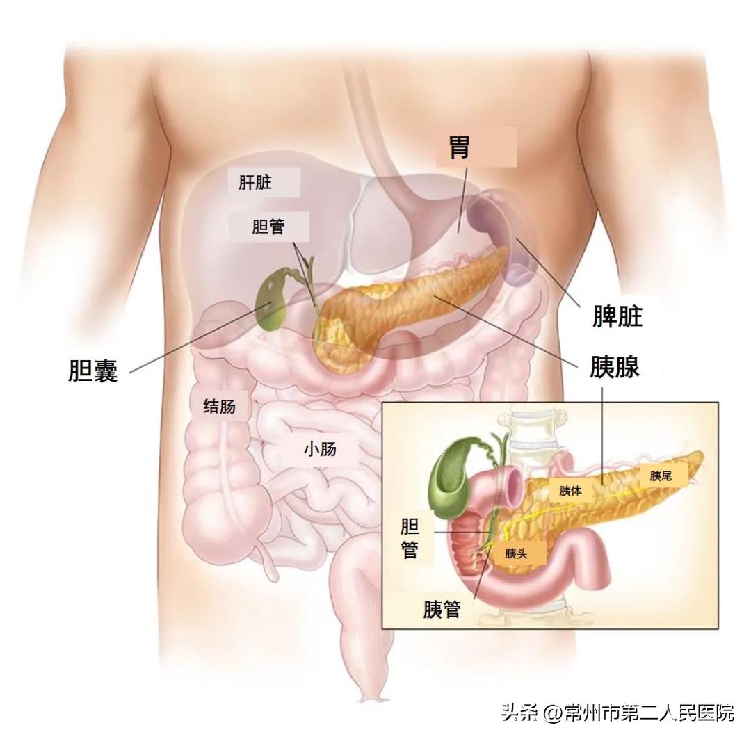 胰腺癌用微波消融还是纳米刀好,微波消融治癌