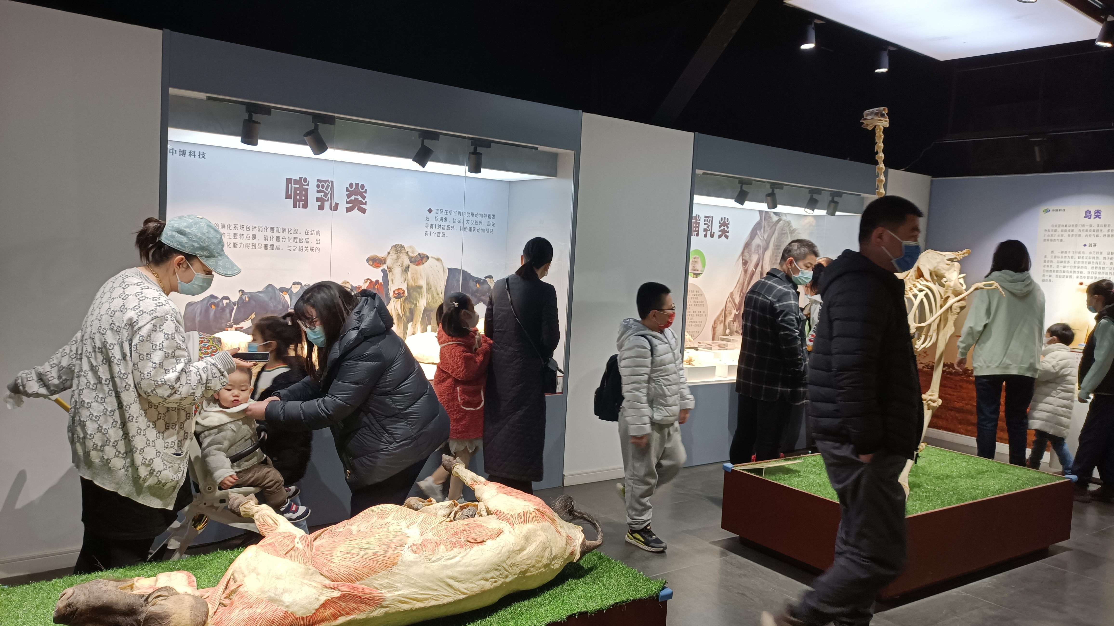 郑州有哪些值得游玩的景点推荐,郑州值得去的旅游景点有哪些