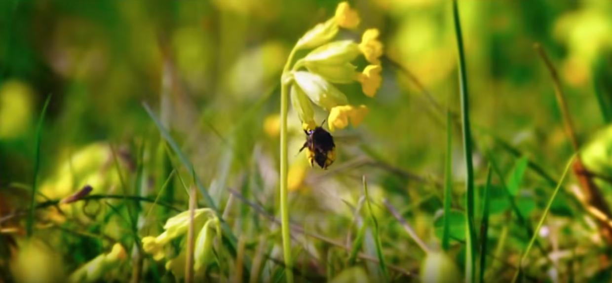 英国富豪农场纪录片,英国富豪农场主纪录片