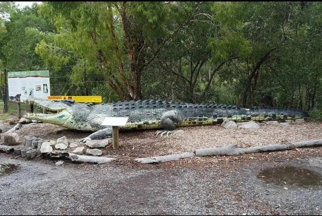 游览热带北昆士兰凯恩斯大堡礁,澳大利亚昆士兰州凯恩斯