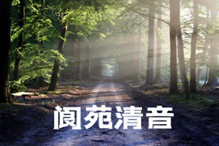 《商海诗潮》第9期·阆苑清音