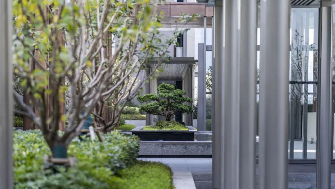 温州万科翡翠天地翡玉园,温州万科翡翠天地二手房