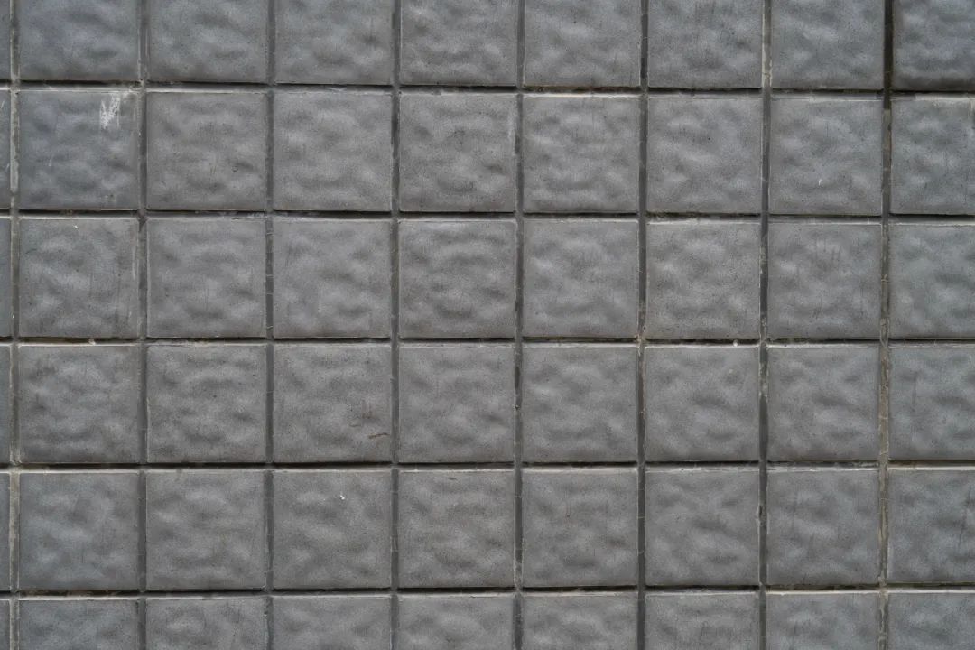 尼康z卡口85mmf1.8镜头评测欣赏,尼康全画幅50mmf1.8s和85mm1.8s