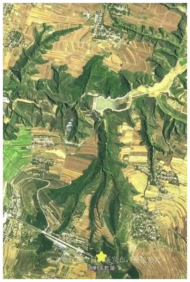 武则天陵墓挖心折翼图片,武则天陵墓凤凰断翅图