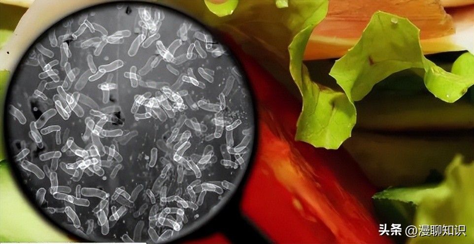 生物膜有害吗,生物膜有什么用