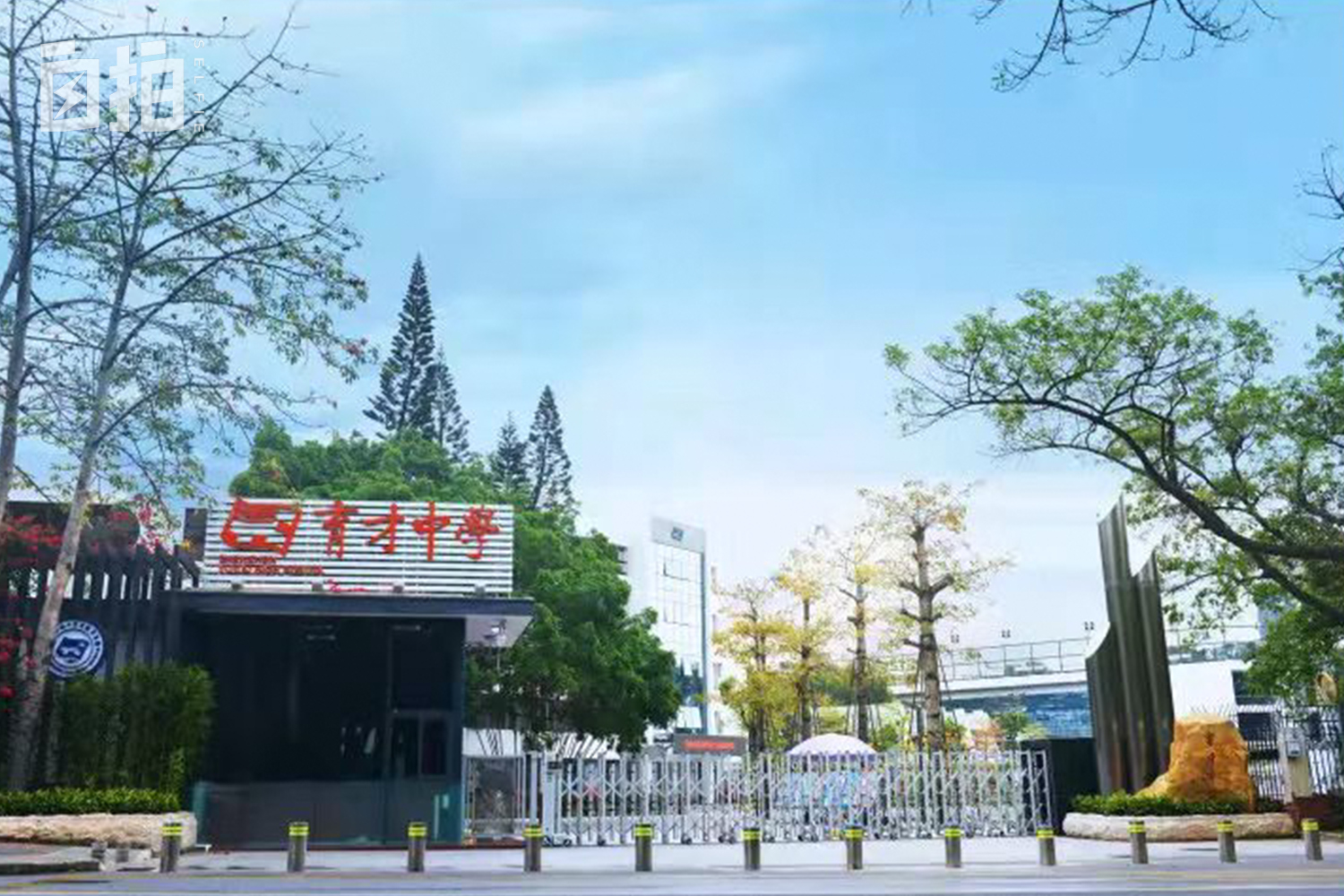 清华博士到深圳当老师,清华博士毕业当教师