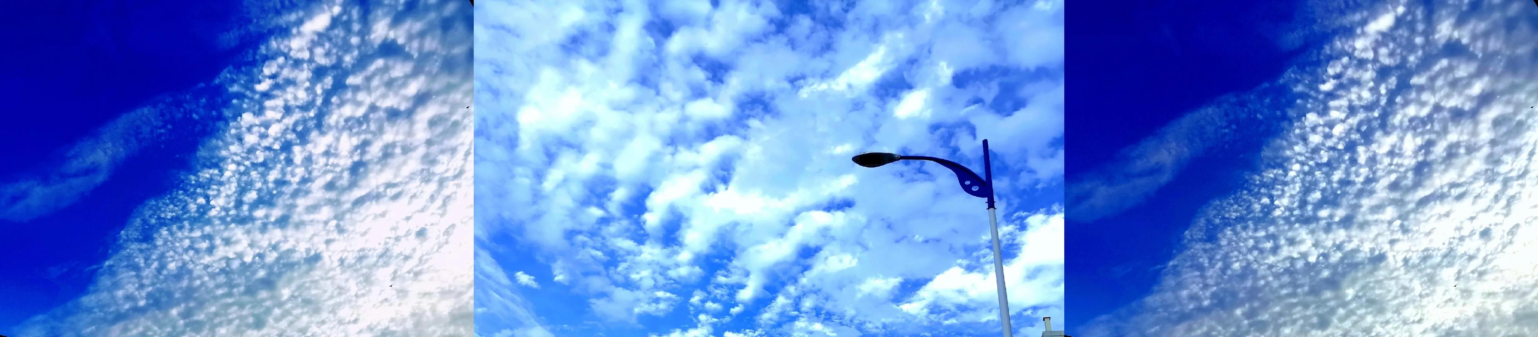 抗菌药物合理应用答案,抗菌药物的合理应用是什么