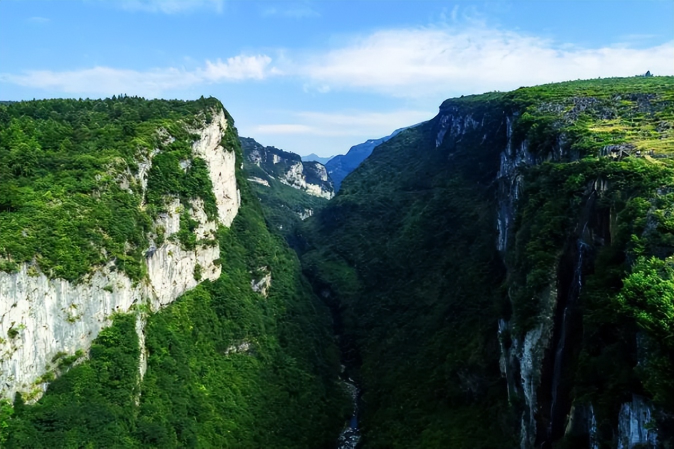 走进绥阳太白｜带你探寻诗仙李白夜郎轶事，感受浓郁诗乡文化气息