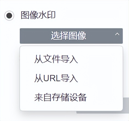 泄露带水印文档,文档中如何保护水印不被去除