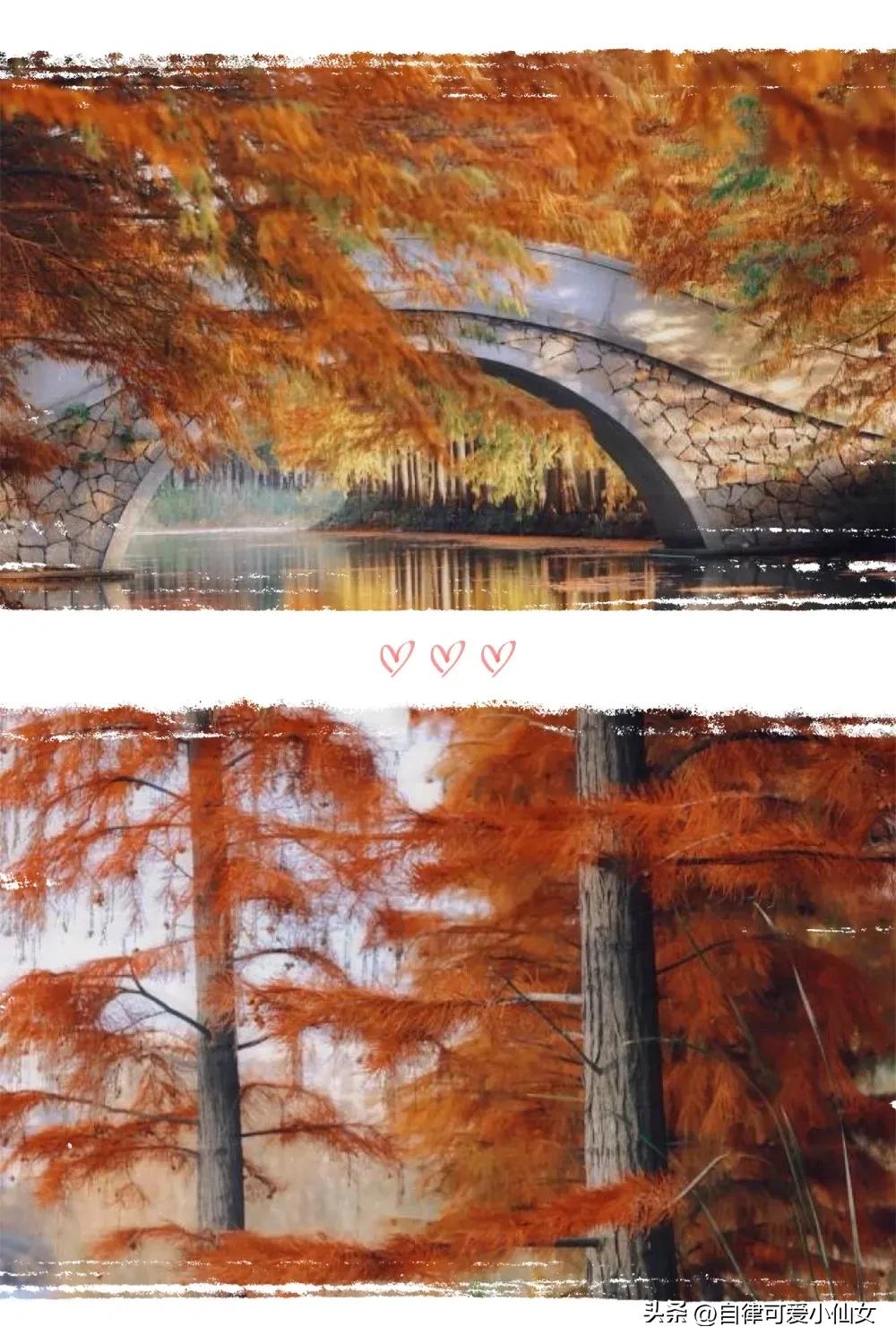 中国园林看江南江南园林看苏州,苏州园林江南园林甲天下