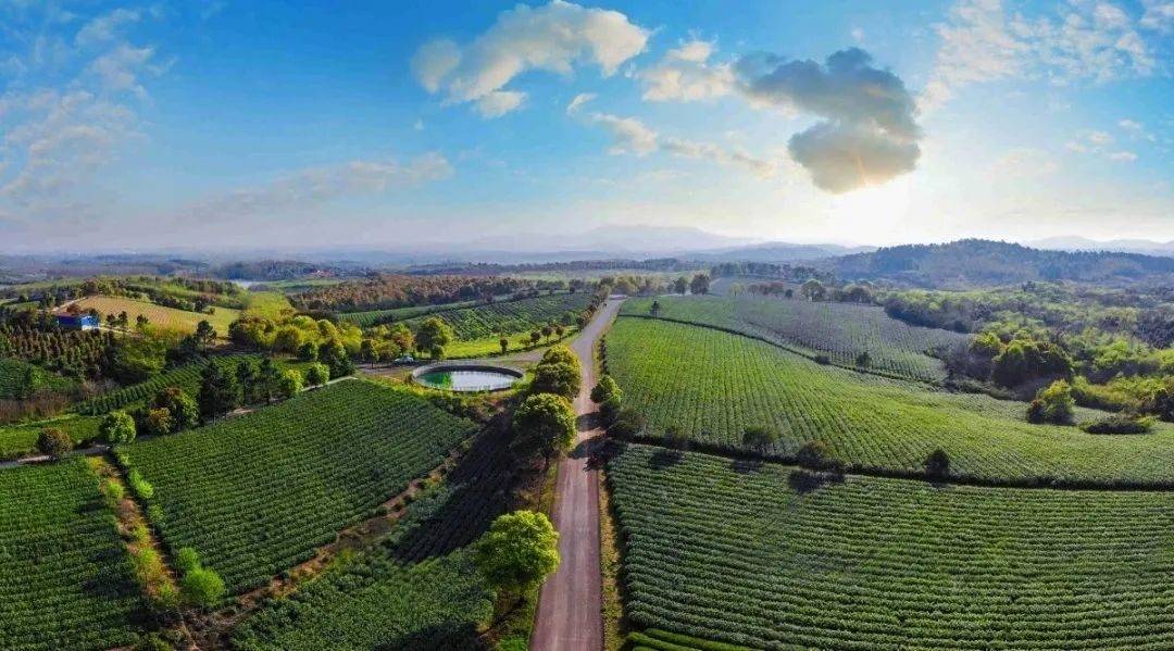 金坛茅山规划,金坛茅山旅游度假区