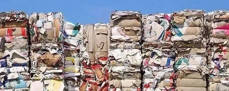 今日废纸价格大跌原因,废纸行情今日最新价