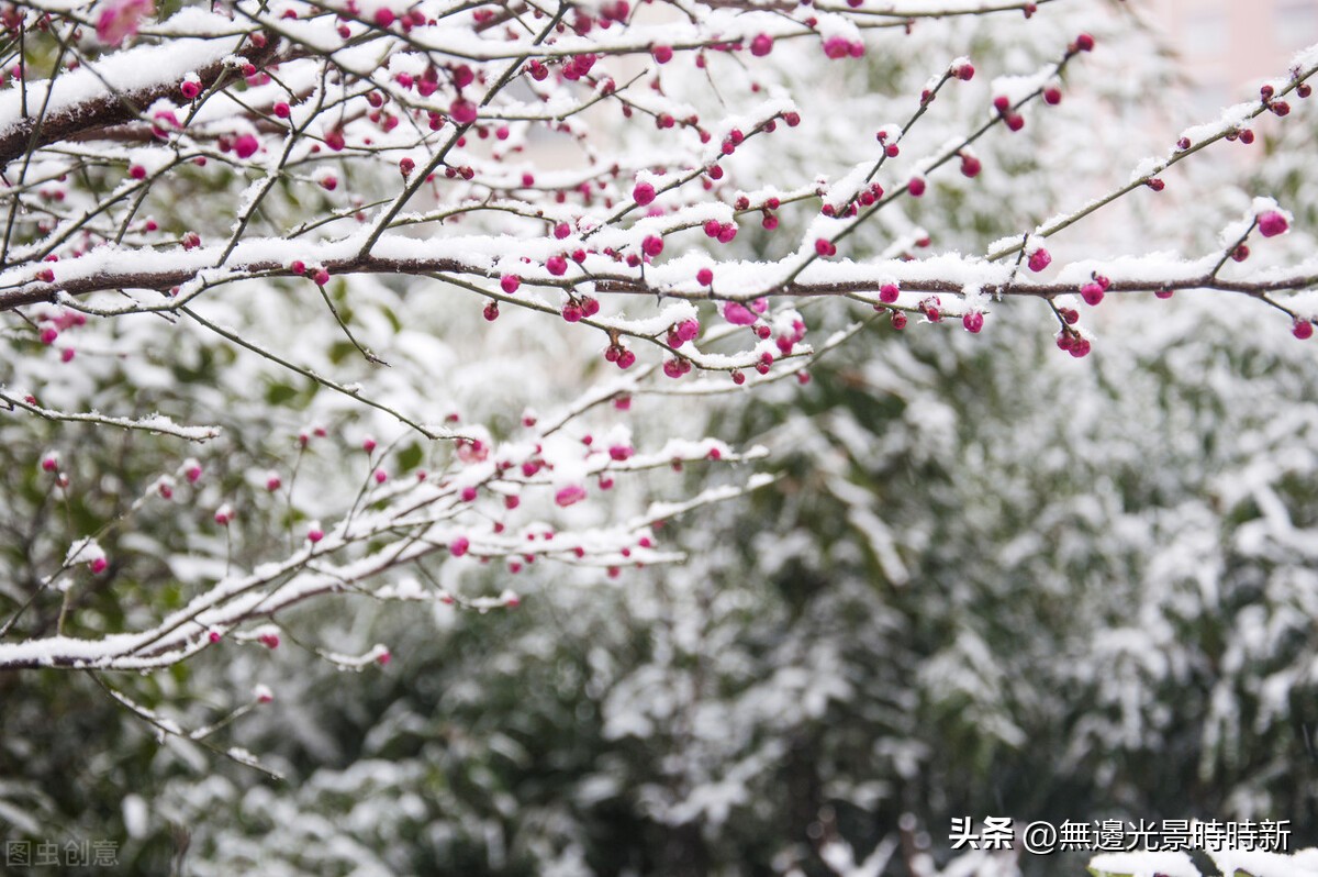 闺房对联大全,生活情趣四字对联