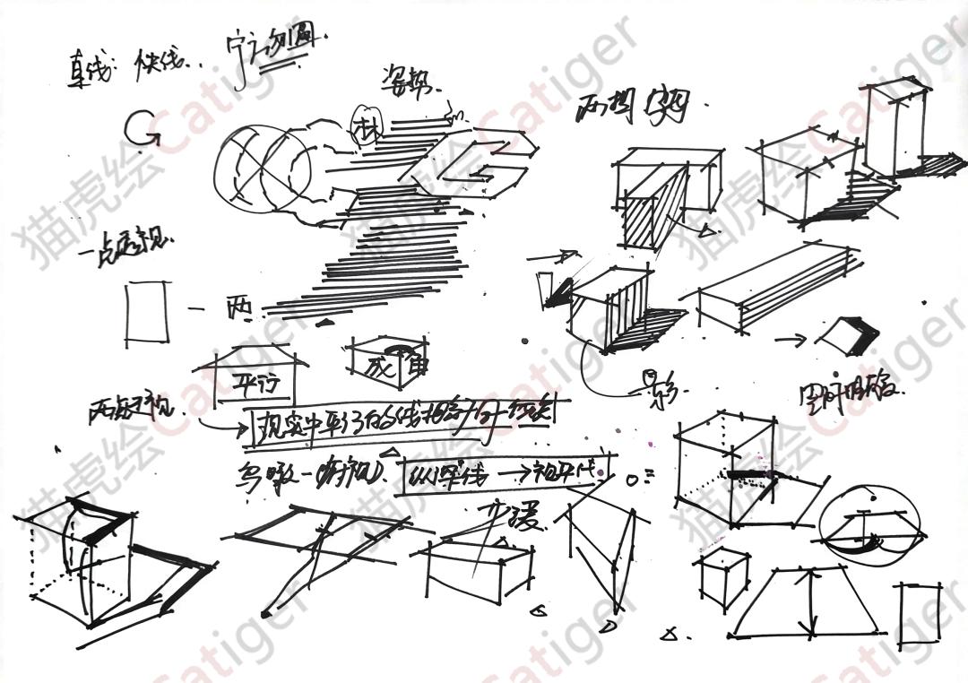 猫虎画,猫虎绘画