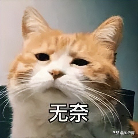 轮到这“国民饮料”被炒成网红，只卖1块钱照样被骂惨