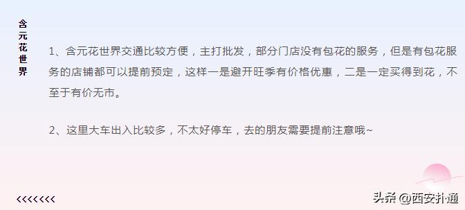 西安情人节去哪比较好,西安买花攻略