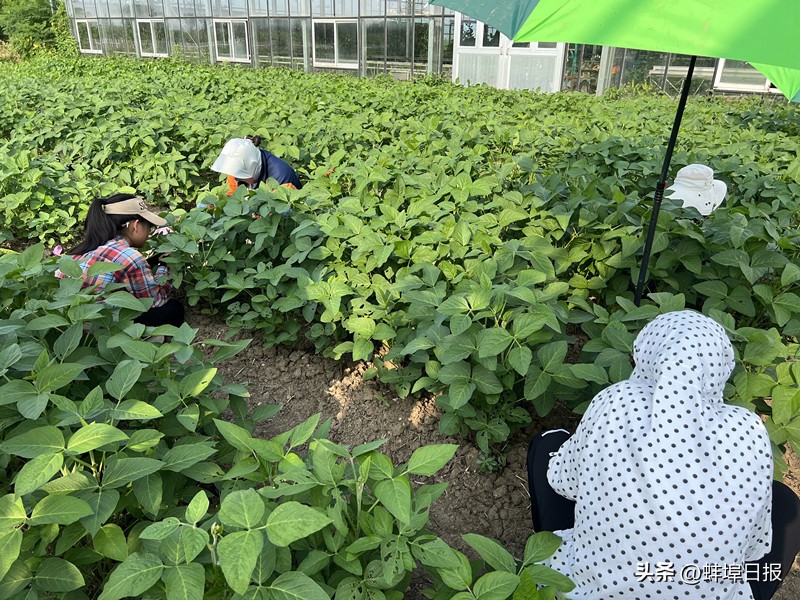 牵住科技创新的牛鼻子,紧紧牵住科技创新的牛鼻子