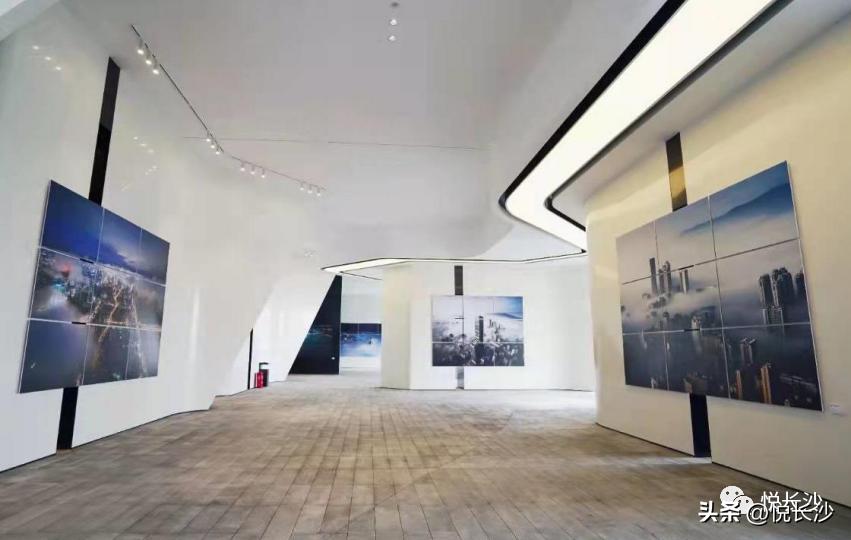 过千万的艺术酒店大平层卖成爆款，凭什么在这个宝藏豪宅里！