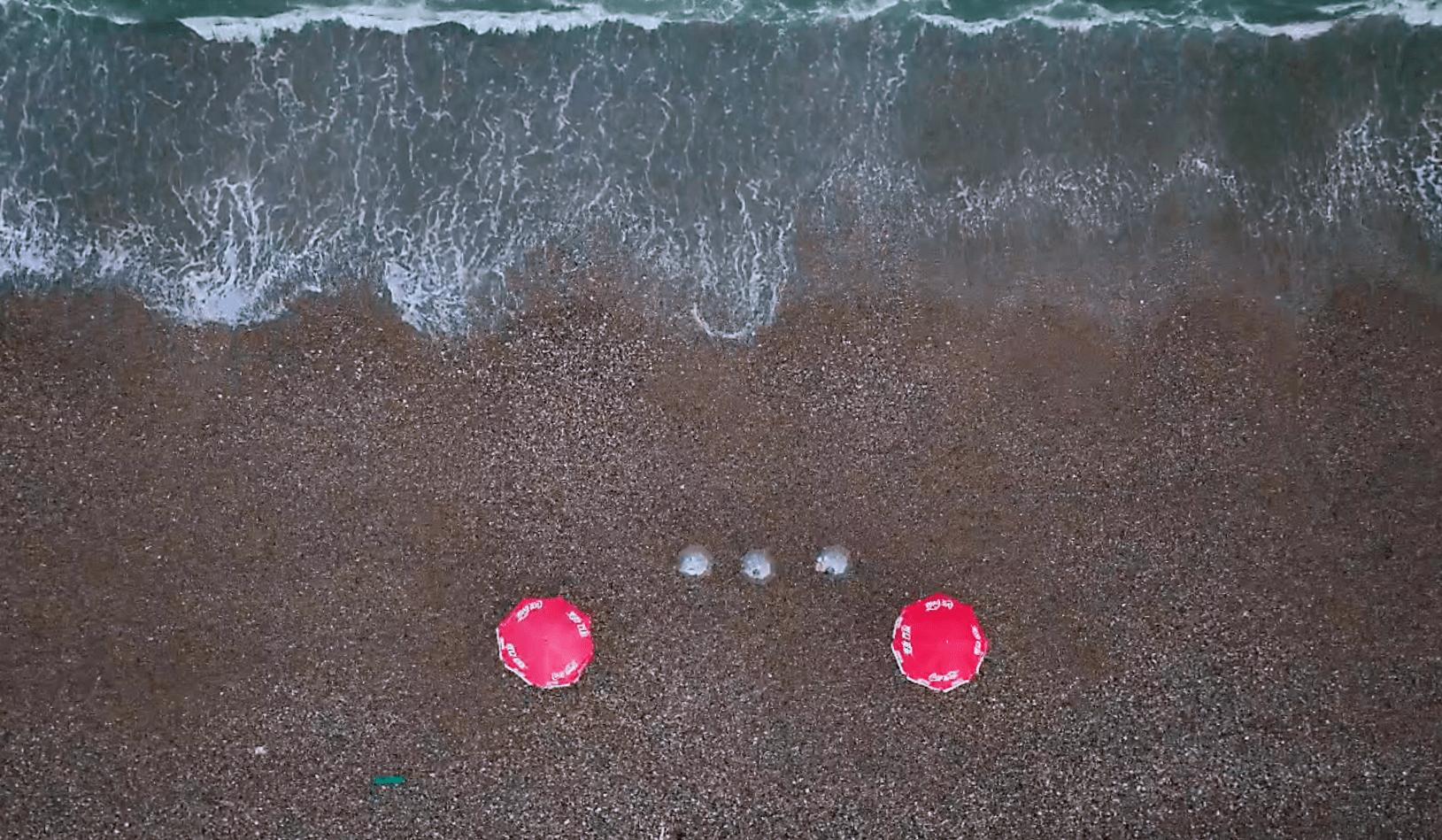 “我爱我的家乡”调研行丨中粮可口可乐为海王九岛乡村振兴“赋能提速”