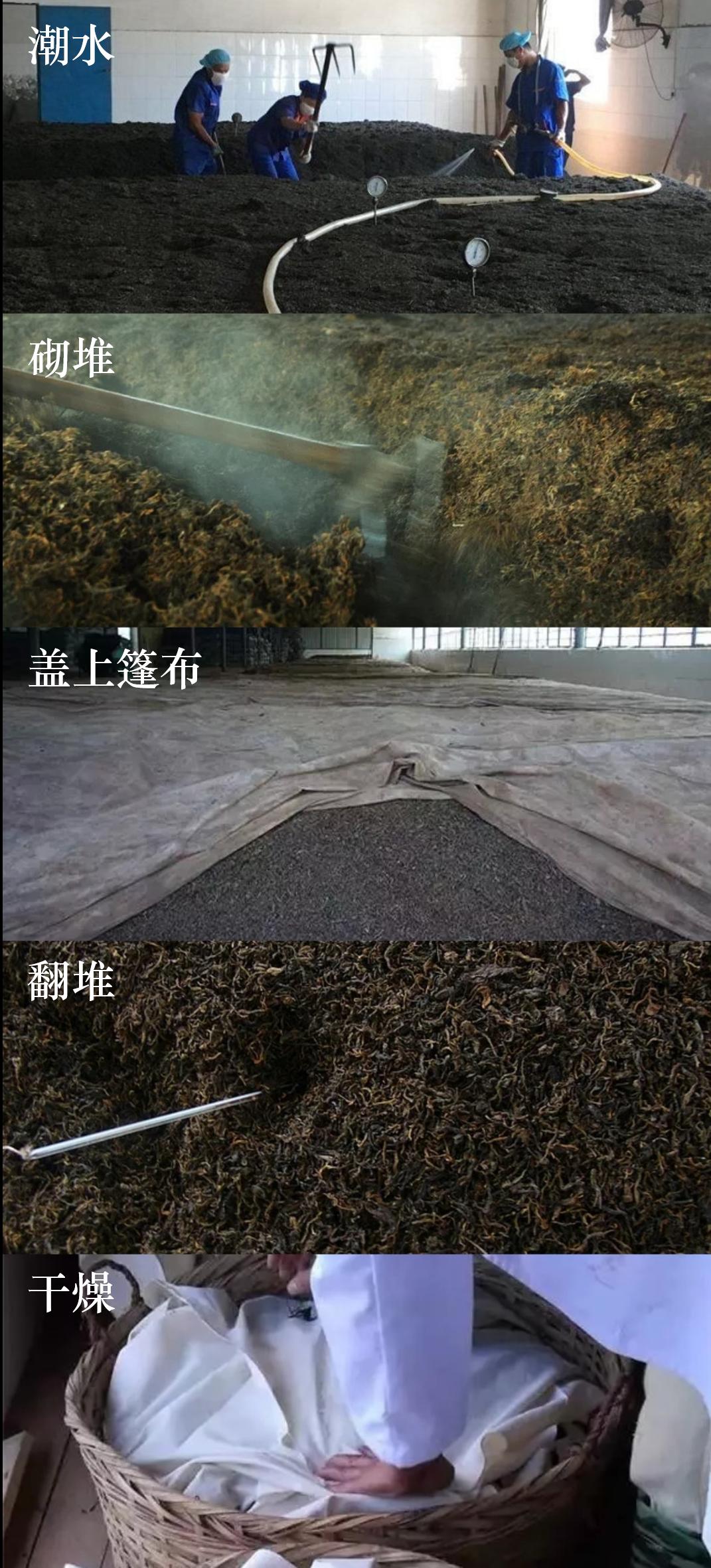 正宗的云南普洱茶是什么样的,真正的云南普洱茶是什么样