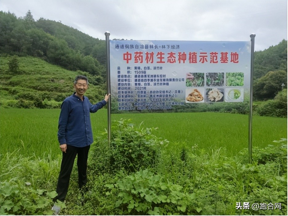 中药材天地网刘红卫最新动态,中药材价格持续大涨对药企的影响