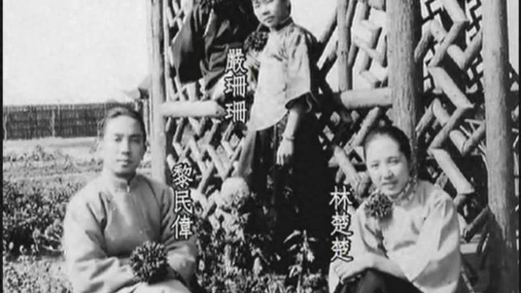 嘉禾电影和邵氏电影的恩怨,嘉禾与邵氏影视公司恩怨