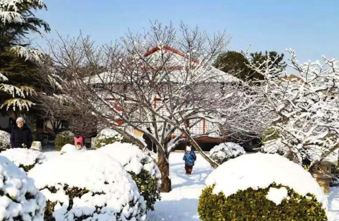 滑冰玩雪,滑冰场旅游