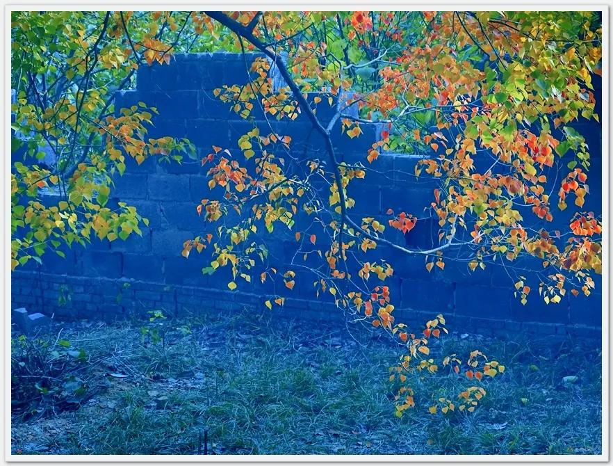 鑹插僵鏋勬垚浼樼浣滃搧,鑹插僵閫犲瀷鎽勫奖鏁欑▼