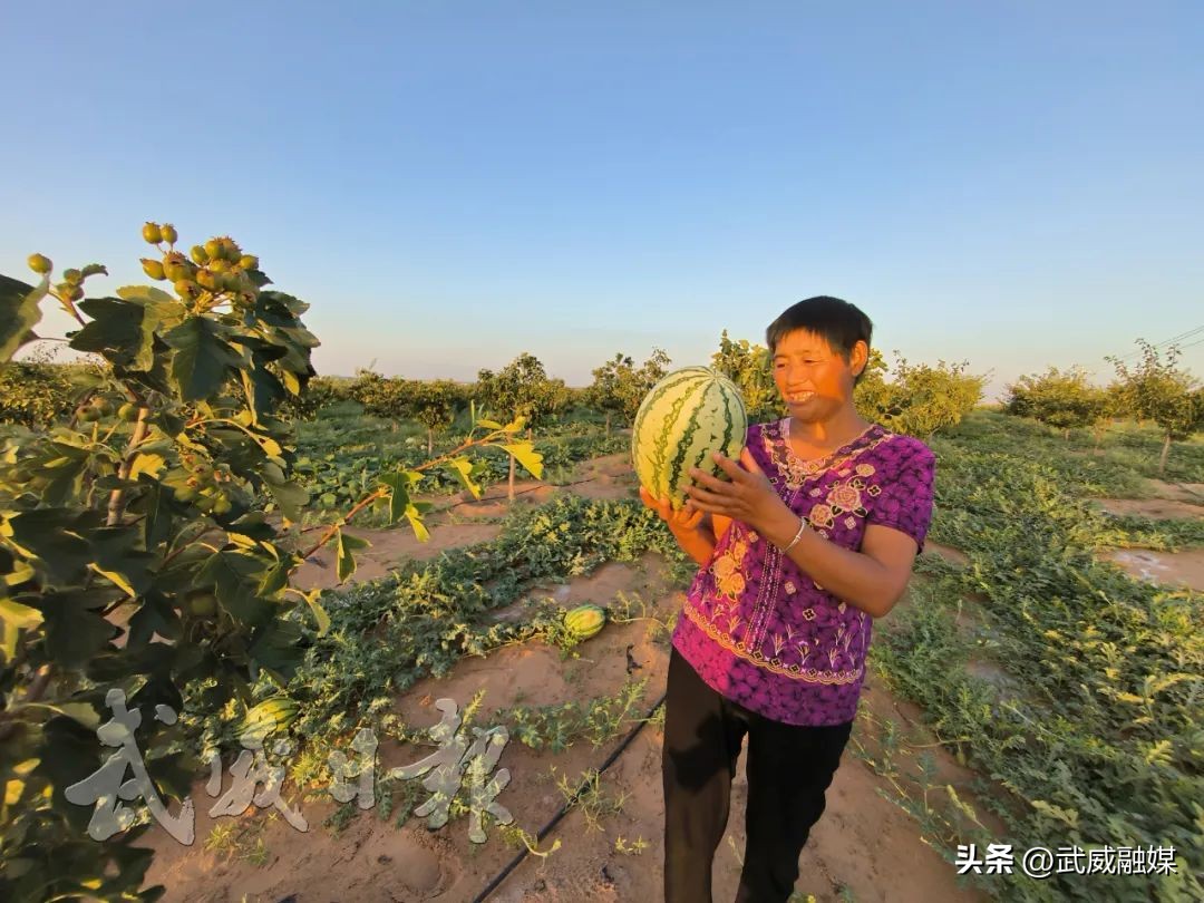武威市凉州区不忘初心牢记使命,砥砺奋进武威