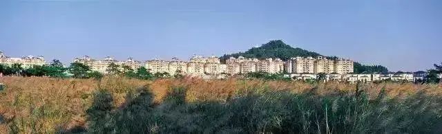 番禺万博为什么成功,万博旧改最新消息