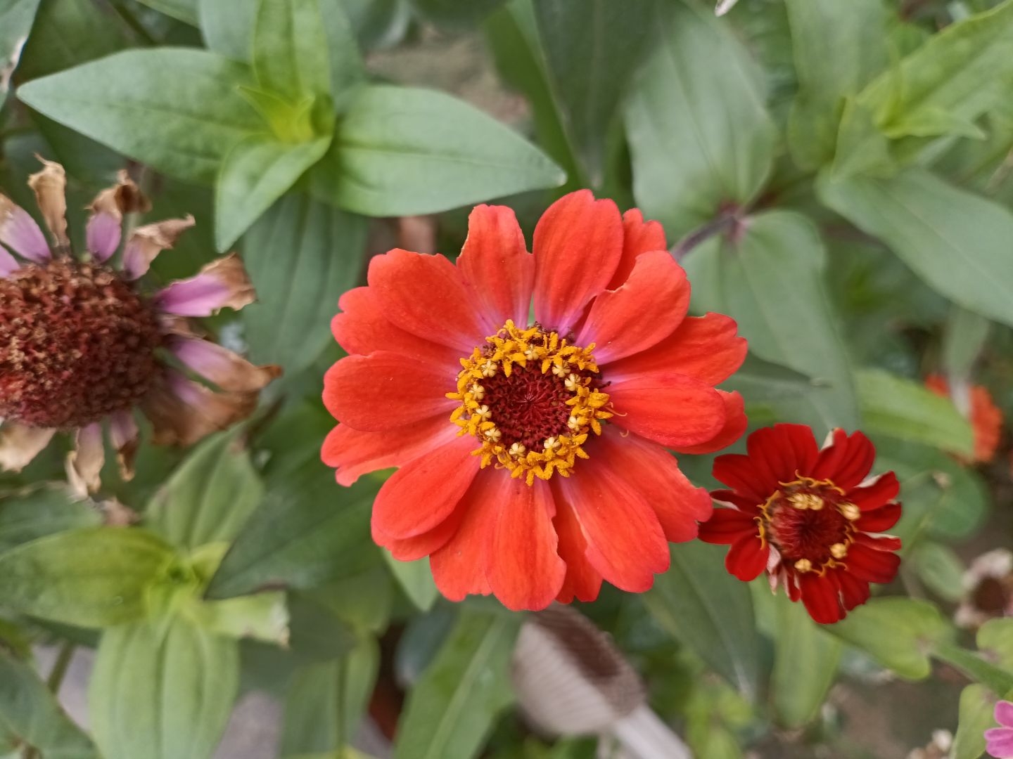 nzone50pro测评,nzone50pro开箱